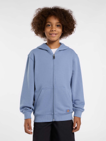 Кофта Dickies Terry Full Zip модель DK0A4Z6WK371 Фото