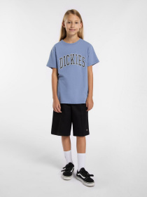 Шорти Dickies Multi Pocket Work модель DK0A4Z7VBLK1 Фото