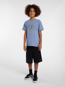 Повсякденні шорти Dickies Multi Pocket Work модель DK0A4Z7VBLK1 Фото