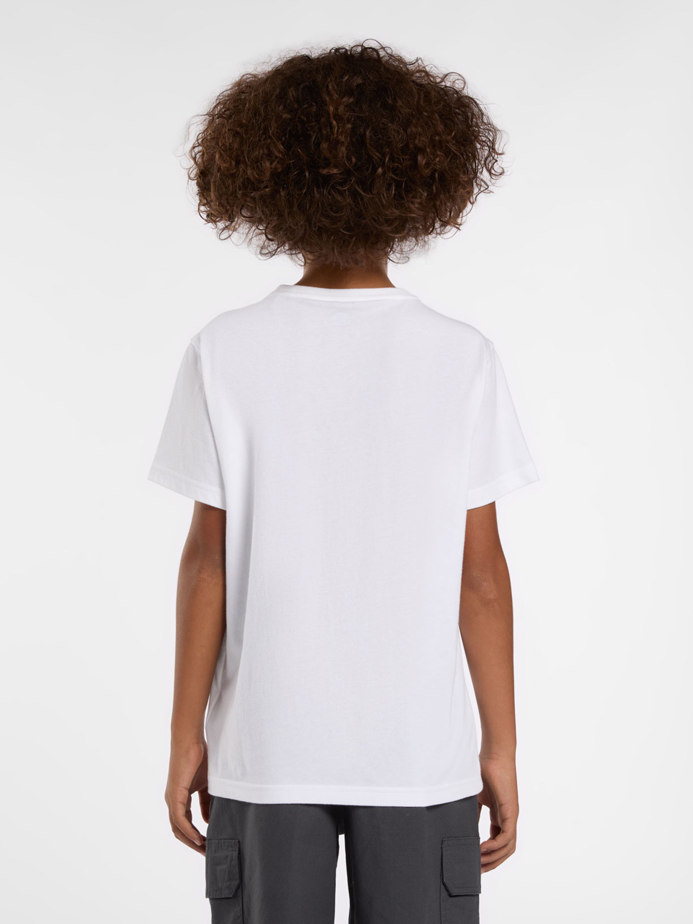 Футболка Dickies Aitkin модель DK0A4Z8O0WH1 Фото