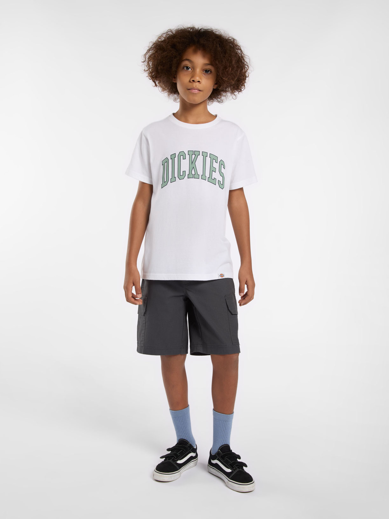 Футболка Dickies Aitkin модель DK0A4Z8O0WH1 Фото