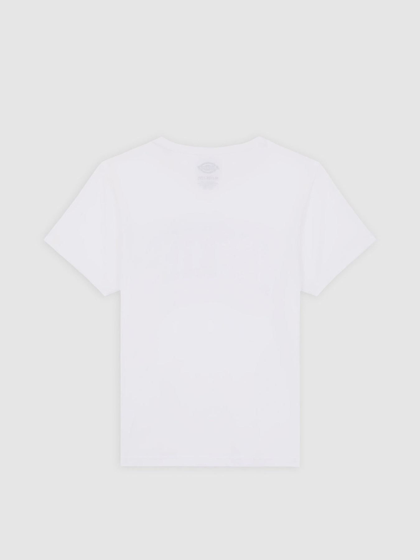 Футболка Dickies Aitkin модель DK0A4Z8O0WH1 Фото