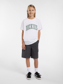 Футболка Dickies Aitkin модель DK0A4Z8O0WH1 Фото