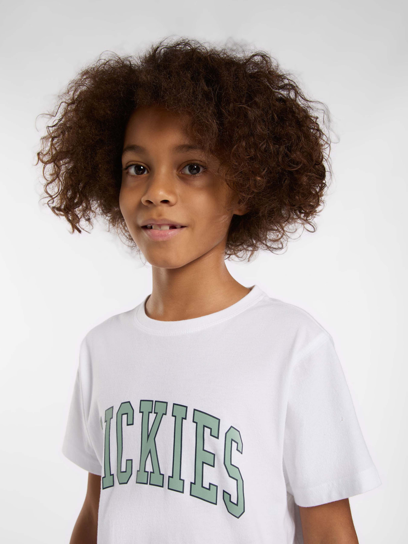 Футболка Dickies Aitkin модель DK0A4Z8O0WH1 Футболка Dickies Aitkin модель DK0A4Z8O0WH1 Фото