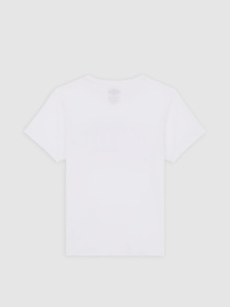 Футболка Dickies Aitkin модель DK0A4Z8O0WH1 Футболка Dickies Aitkin модель DK0A4Z8O0WH1 Фото