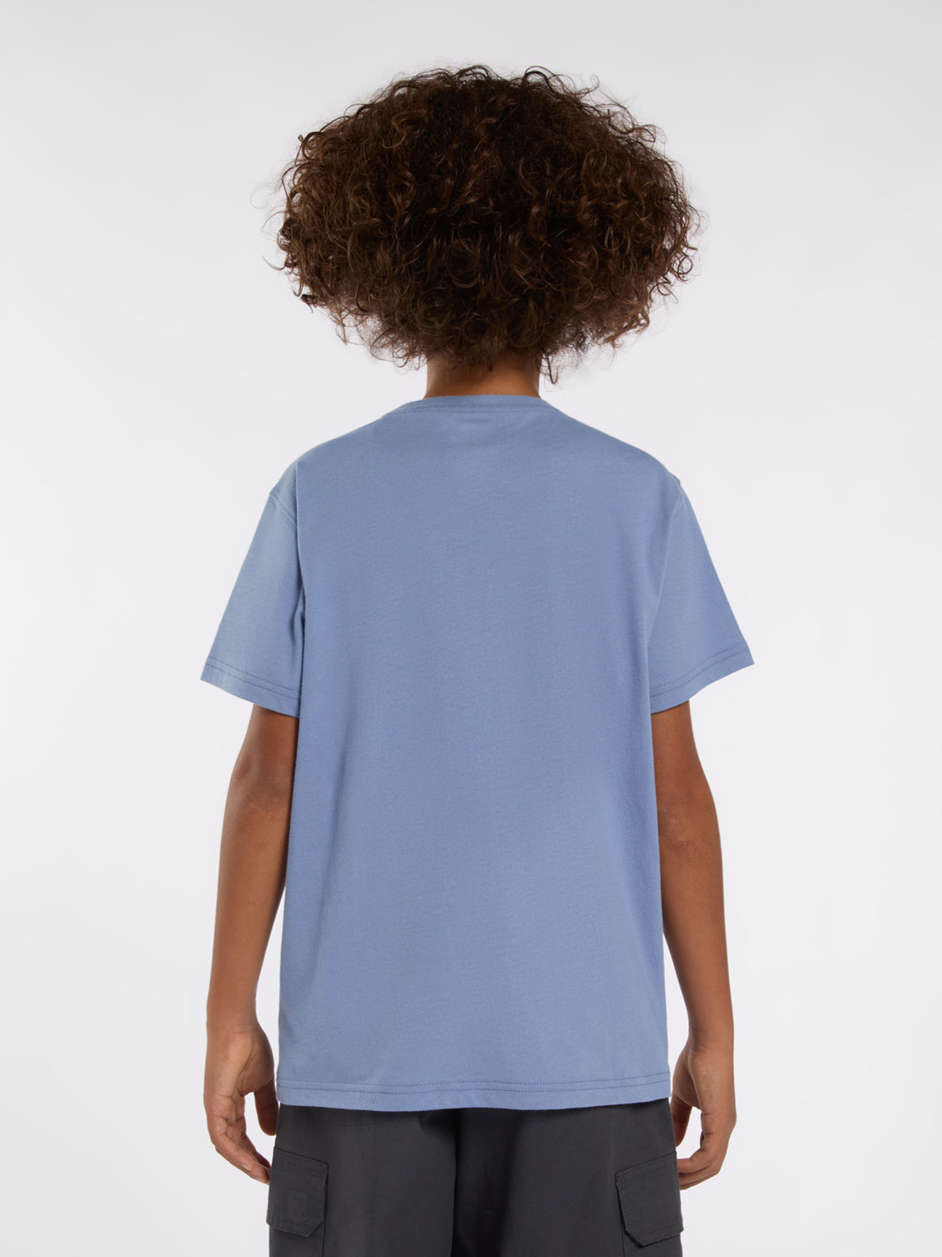 Футболка Dickies Aitkin модель DK0A4Z8OK371 Фото