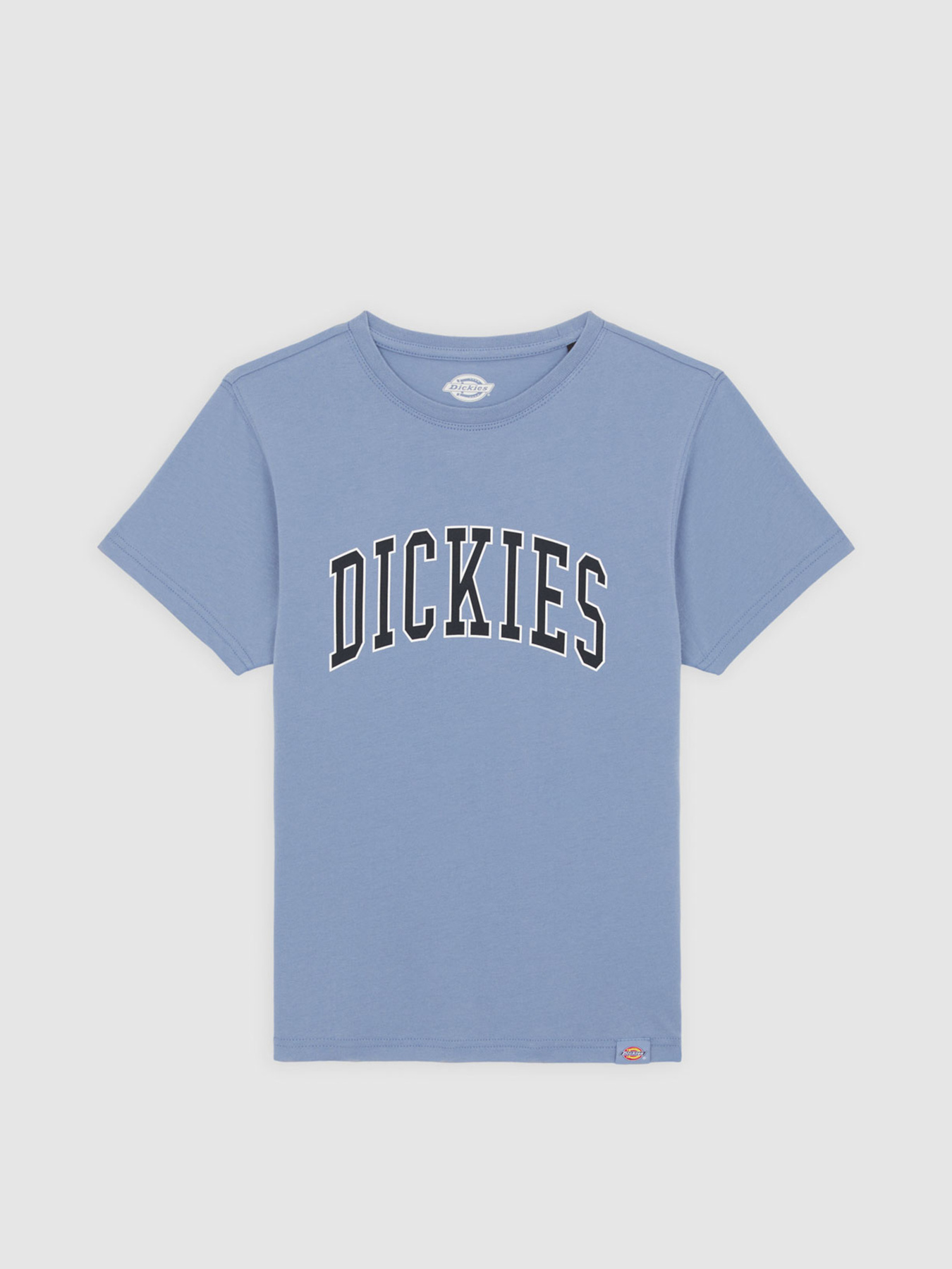 Футболка Dickies Aitkin модель DK0A4Z8OK371 Фото