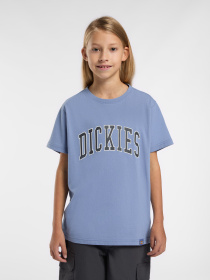 Футболка Dickies Aitkin модель DK0A4Z8OK371 Фото