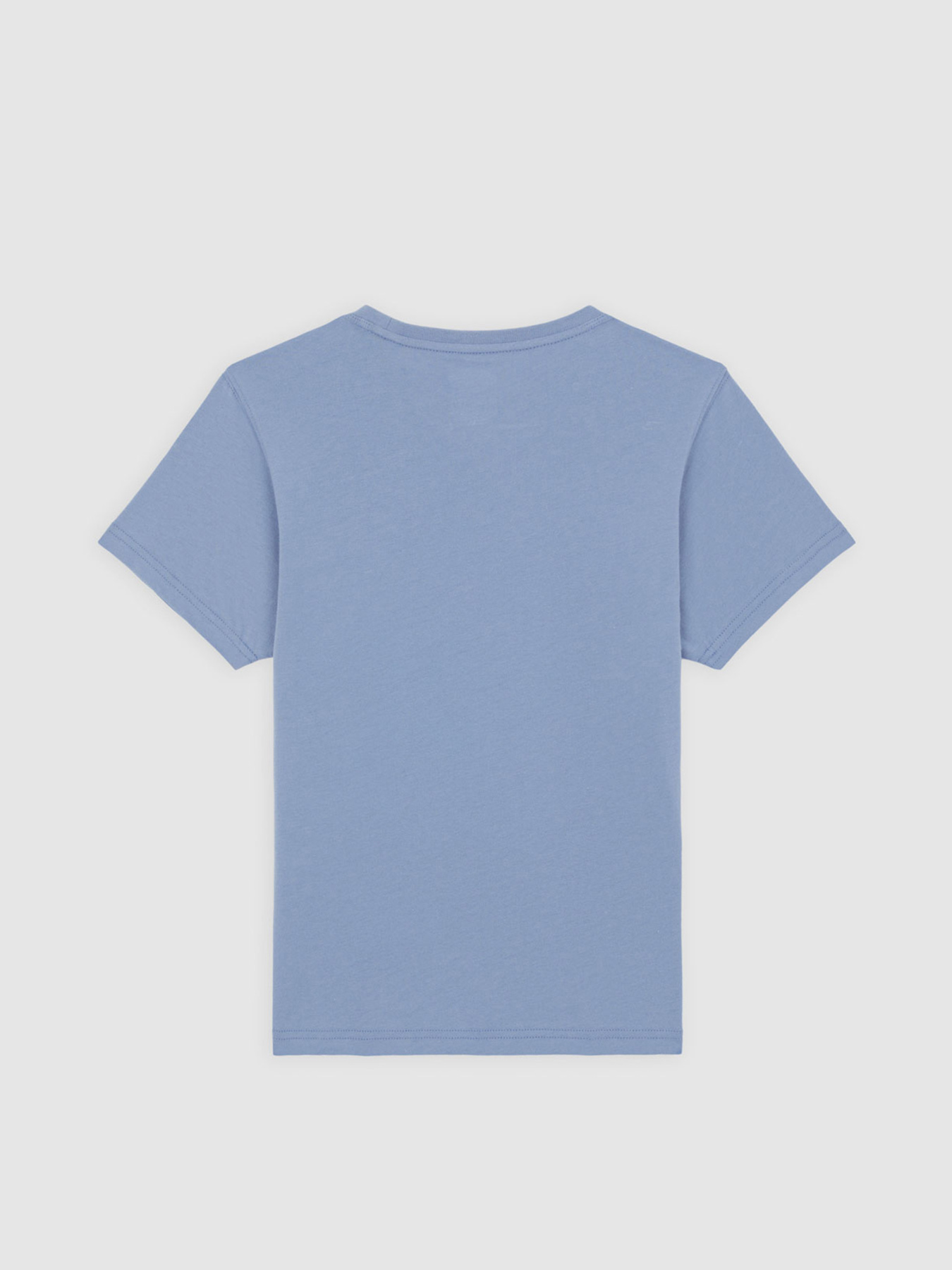 Футболка Dickies Aitkin модель DK0A4Z8OK371 Фото