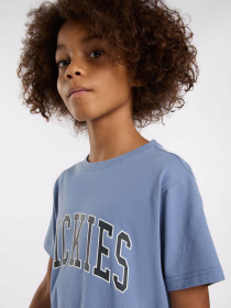 Футболка Dickies Aitkin модель DK0A4Z8OK371 Фото