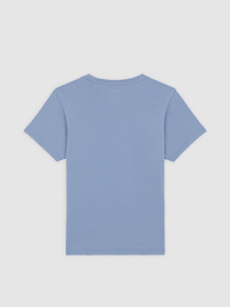 Футболка Dickies Aitkin модель DK0A4Z8OK371 Фото