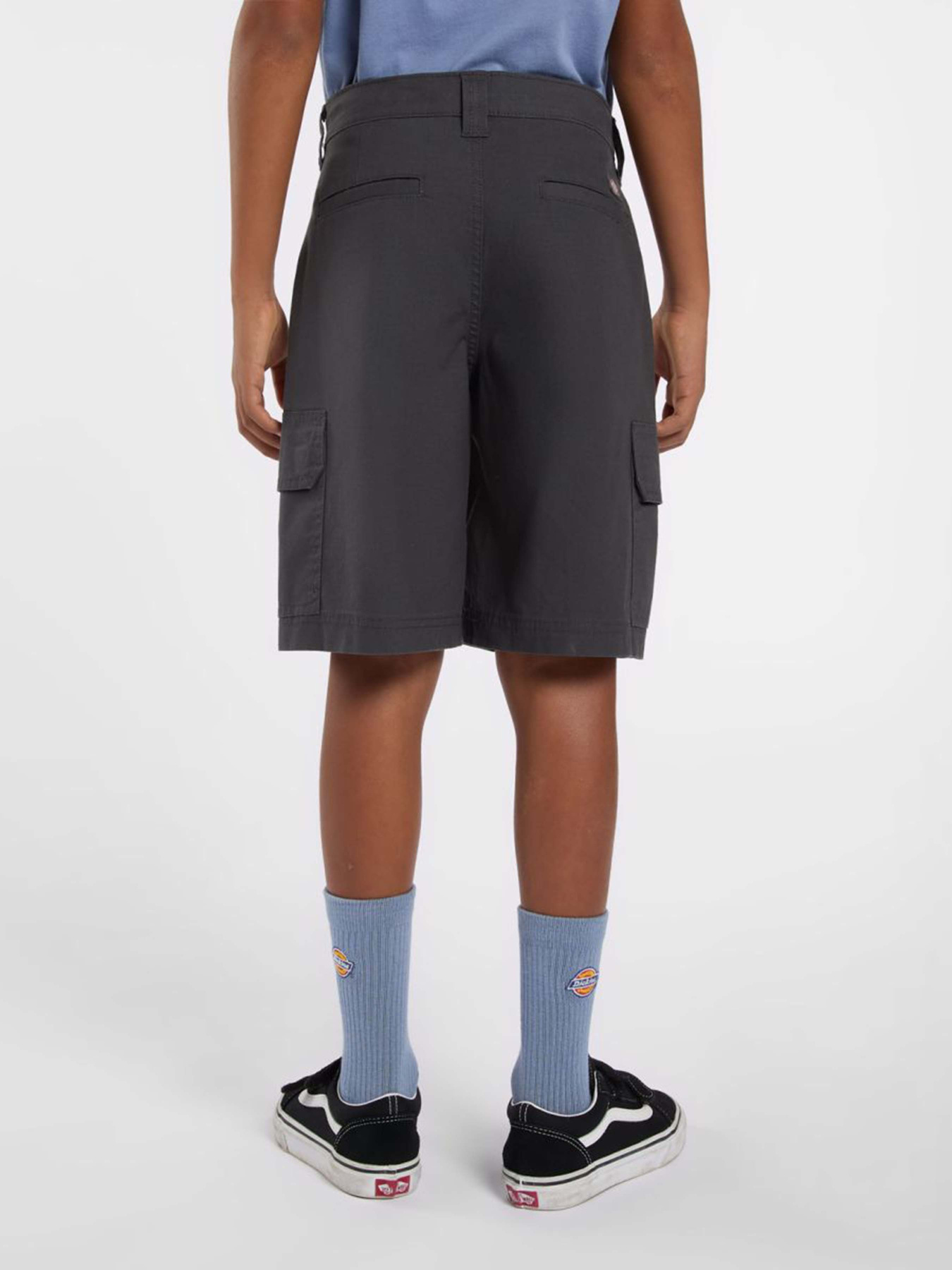 Шорти Dickies Rips модель DK0A862Z0CH1 Фото