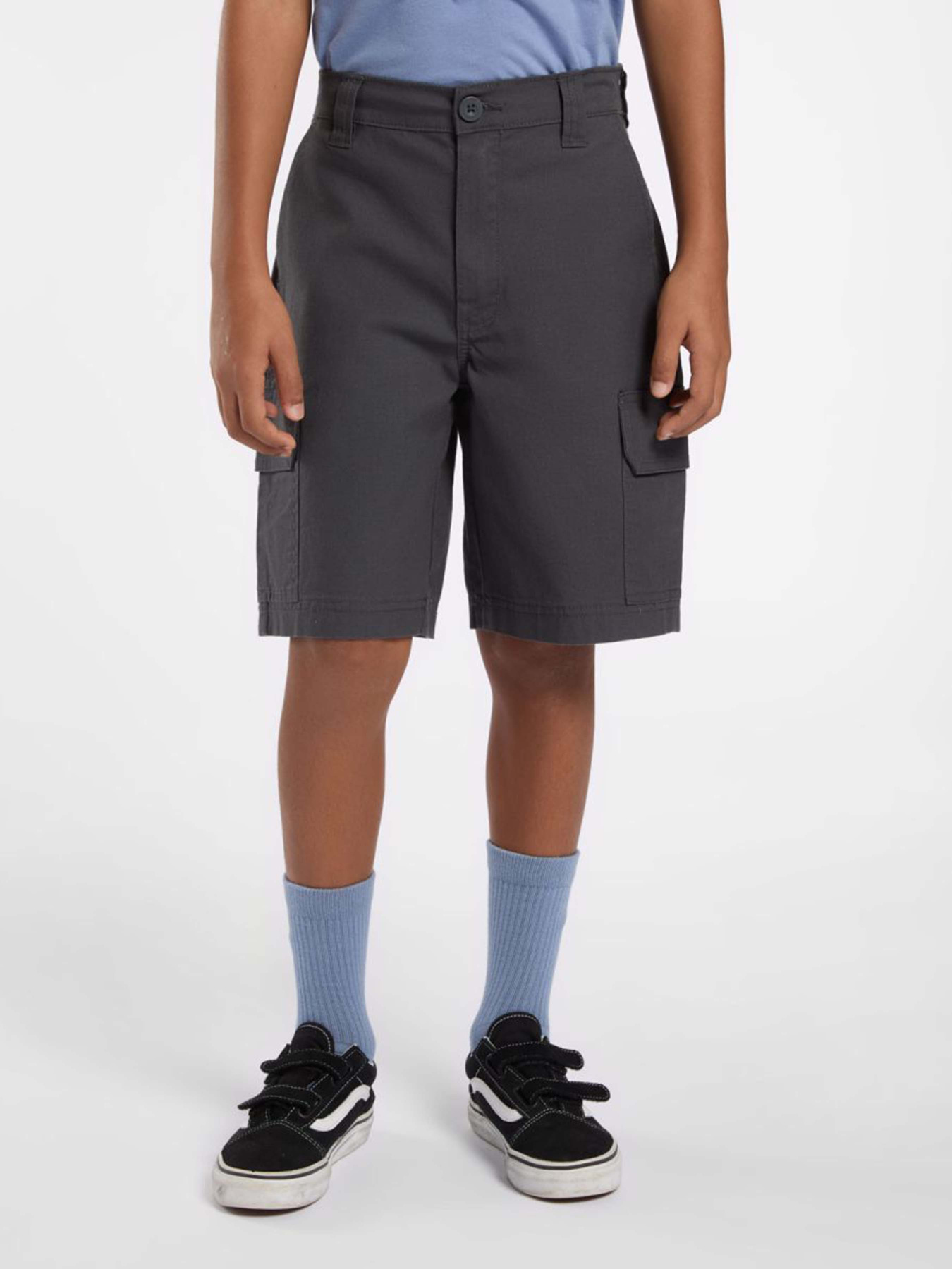 Шорти Dickies Rips модель DK0A862Z0CH1 Фото