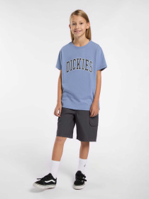 Шорти Dickies Rips модель DK0A862Z0CH1 Фото