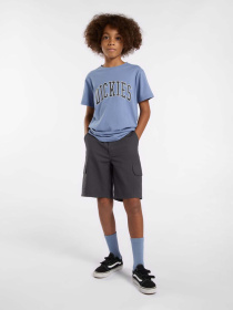 Шорти Dickies Rips модель DK0A862Z0CH1 Фото