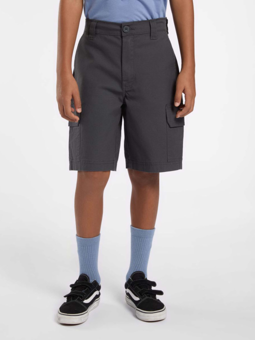 Шорти Dickies Rips Модель DK0A862Z0CH1 Фото