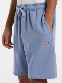 Шорти Dickies Youth Mapleton модель DK0KRR33K371 Фото