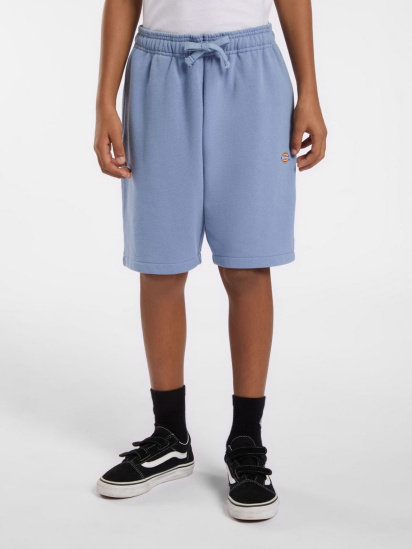 Шорти Dickies Youth Mapleton модель DK0KRR33K371 - фото