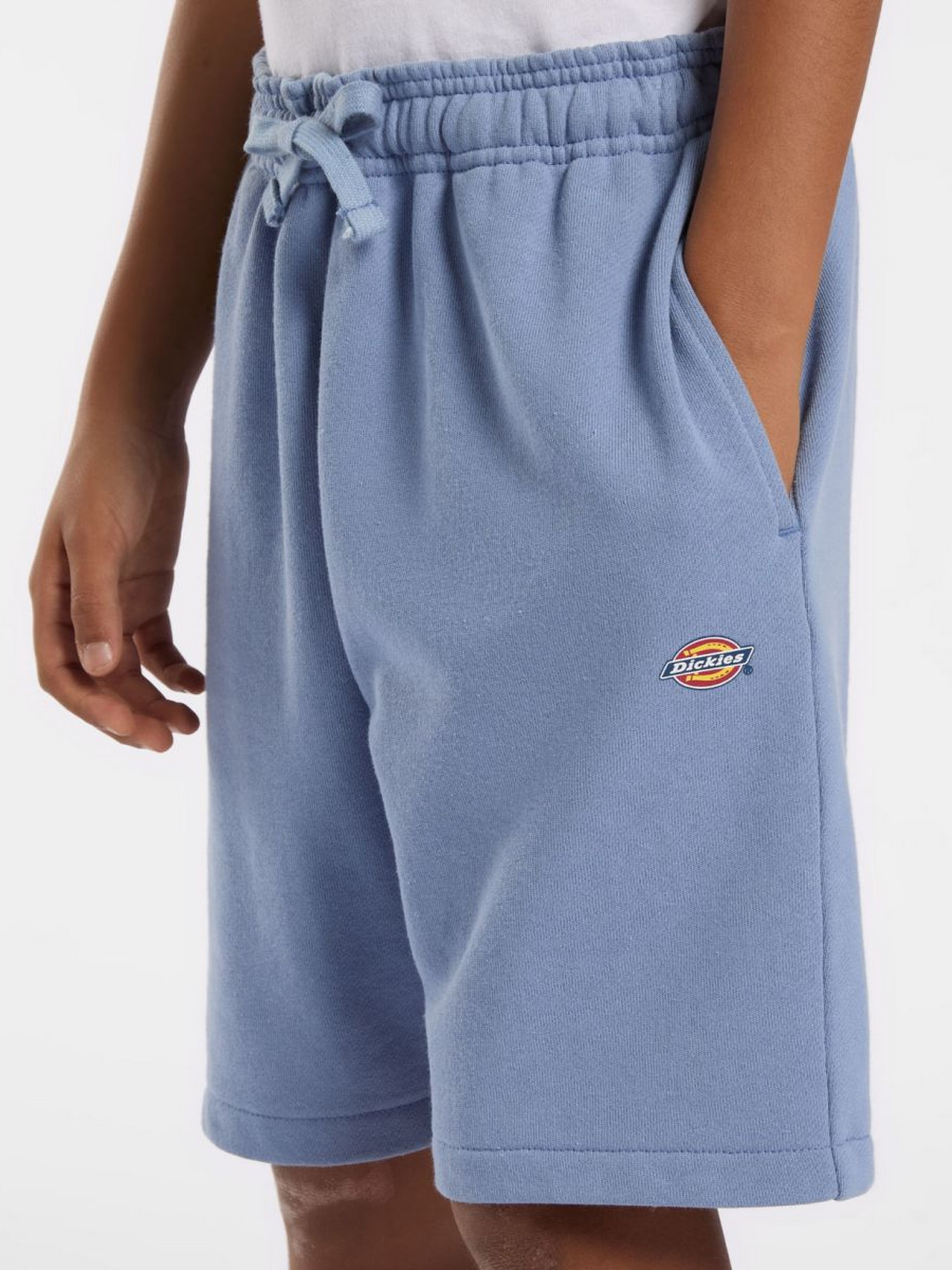 Повсякденні шорти Dickies Youth Mapleton модель DK0KRR33K371 Повсякденні шорти Dickies Youth Mapleton модель DK0KRR33K371 Фото