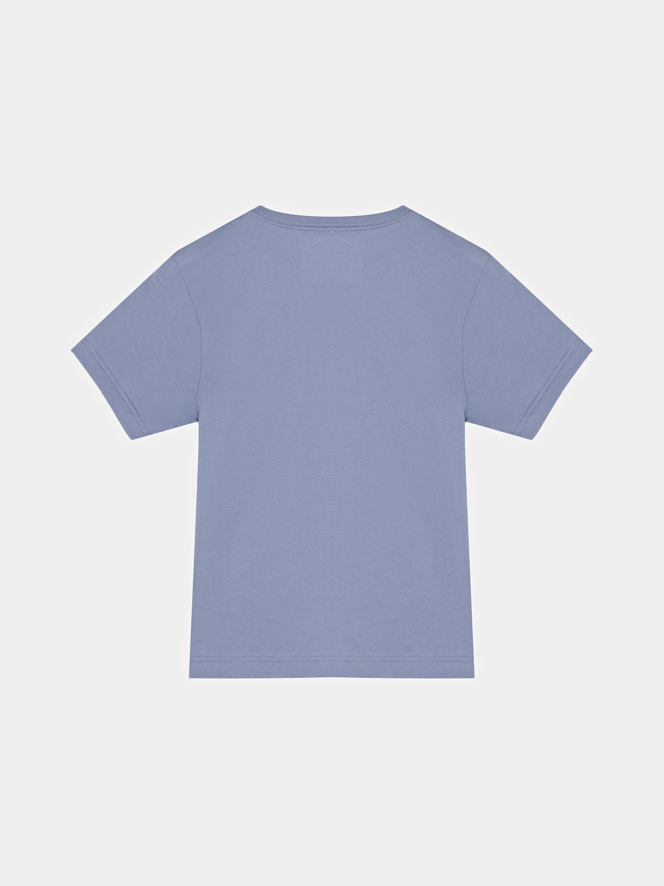 Футболка Dickies Youth Mapleton Модель DK0KSR64K371 Фото