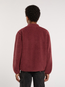 Кофта Dickies модель DK0A4Z3TL161 Фото