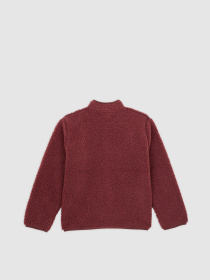 Кофта Dickies модель DK0A4Z3TL161 Фото