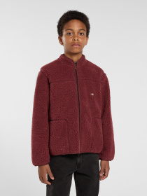 Кофта Dickies модель DK0A4Z3TL161 Фото