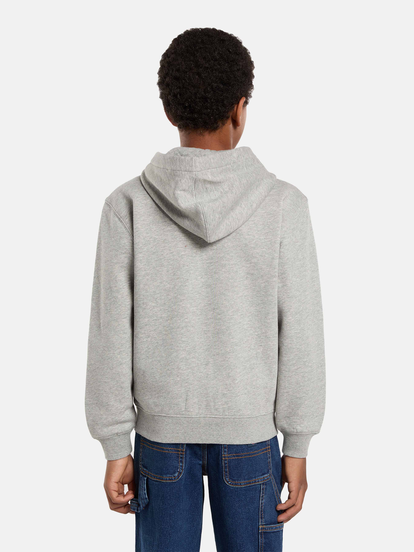 Кофта Dickies Youth Oakport модель DK0A88BO0H21 Фото