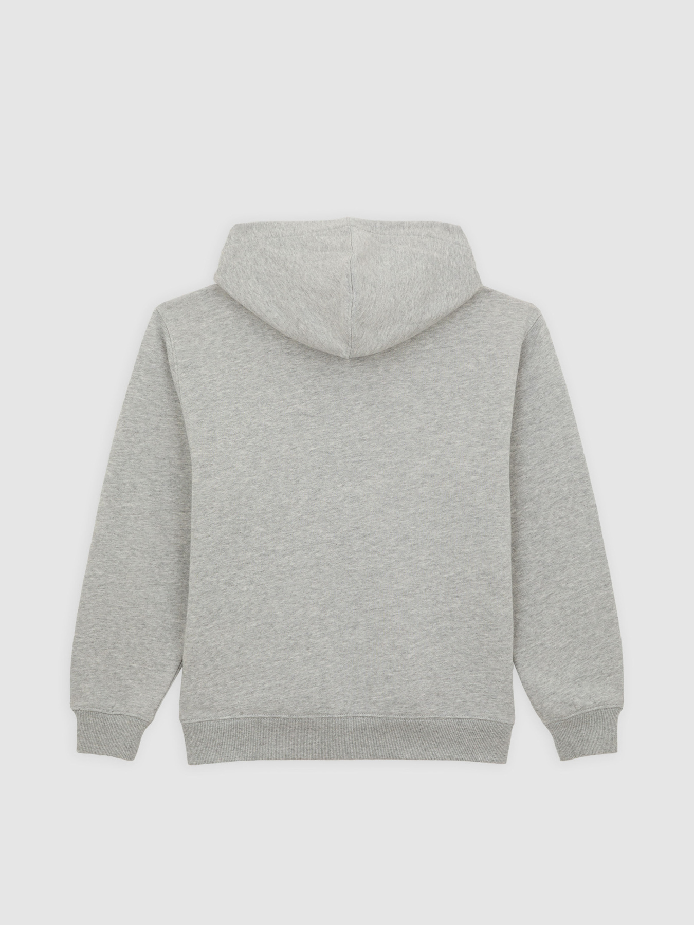 Кофта Dickies Youth Oakport модель DK0A88BO0H21 Фото