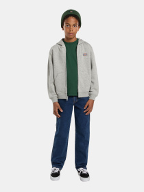 Кофта Dickies Youth Oakport модель DK0A88BO0H21 Фото