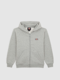 Кофта Dickies Youth Oakport модель DK0A88BO0H21 Фото