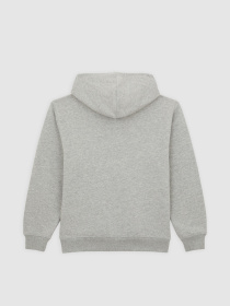 Кофта Dickies Youth Oakport модель DK0A88BO0H21 Фото