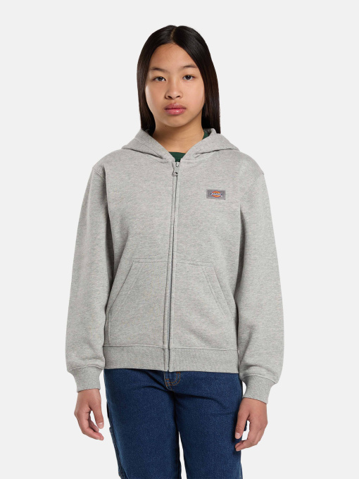 Кофта Dickies Youth Oakport модель DK0A88BO0H21 Фото