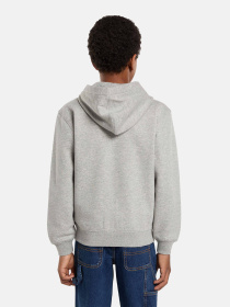 Кофта Dickies Youth Oakport модель DK0A88BO0H21 Фото