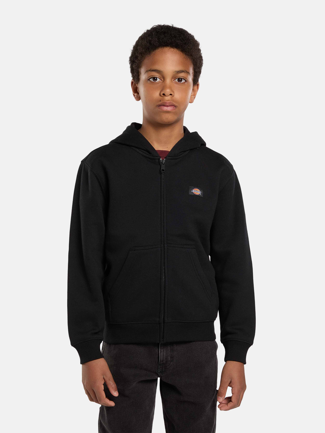 Кофта Dickies Youth Oakport модель DK0A88BOBLK1 Фото