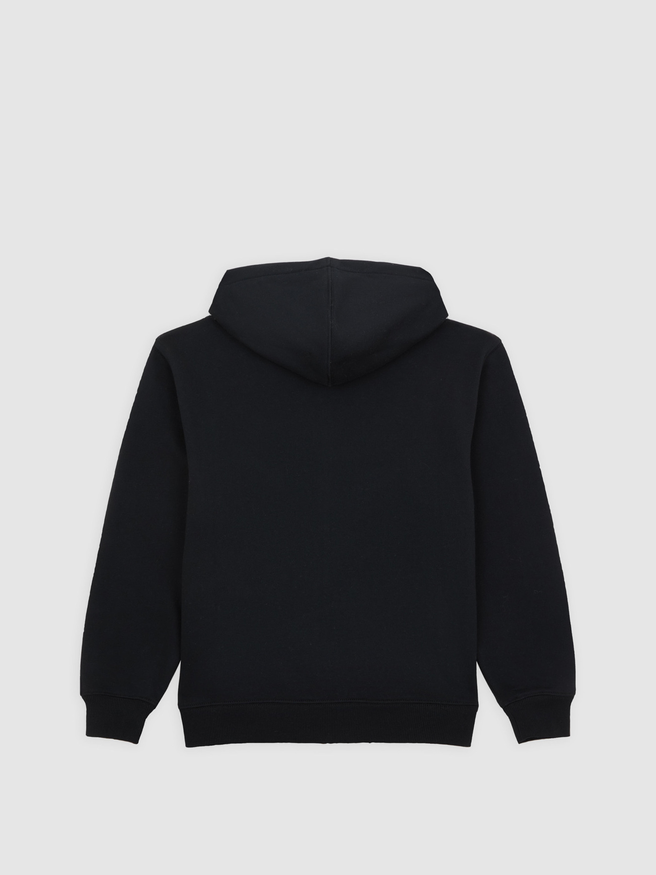 Кофта Dickies Youth Oakport модель DK0A88BOBLK1 Фото