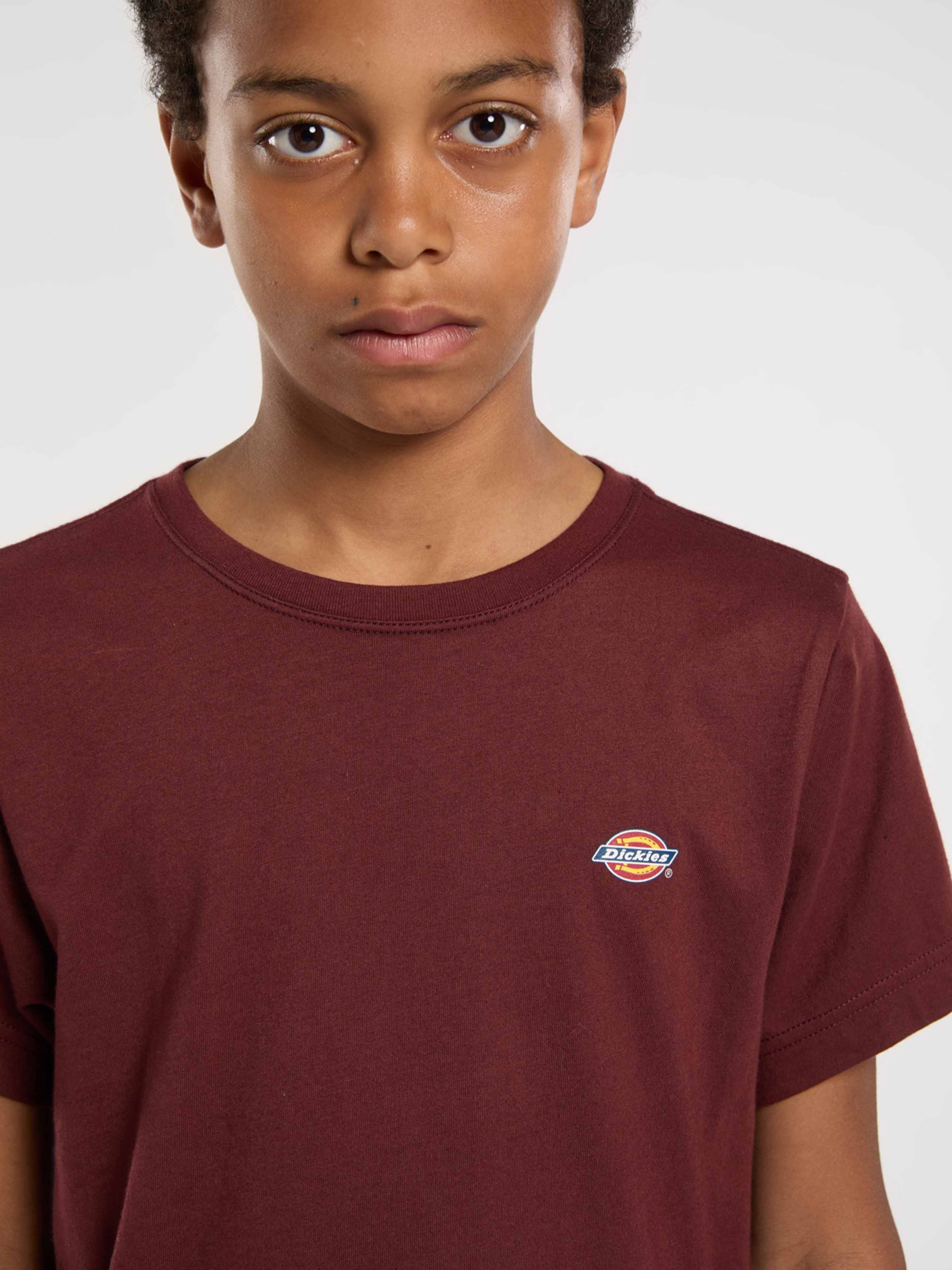 Футболка Dickies Youth Mapleton модель DK0KSR64L161 Фото