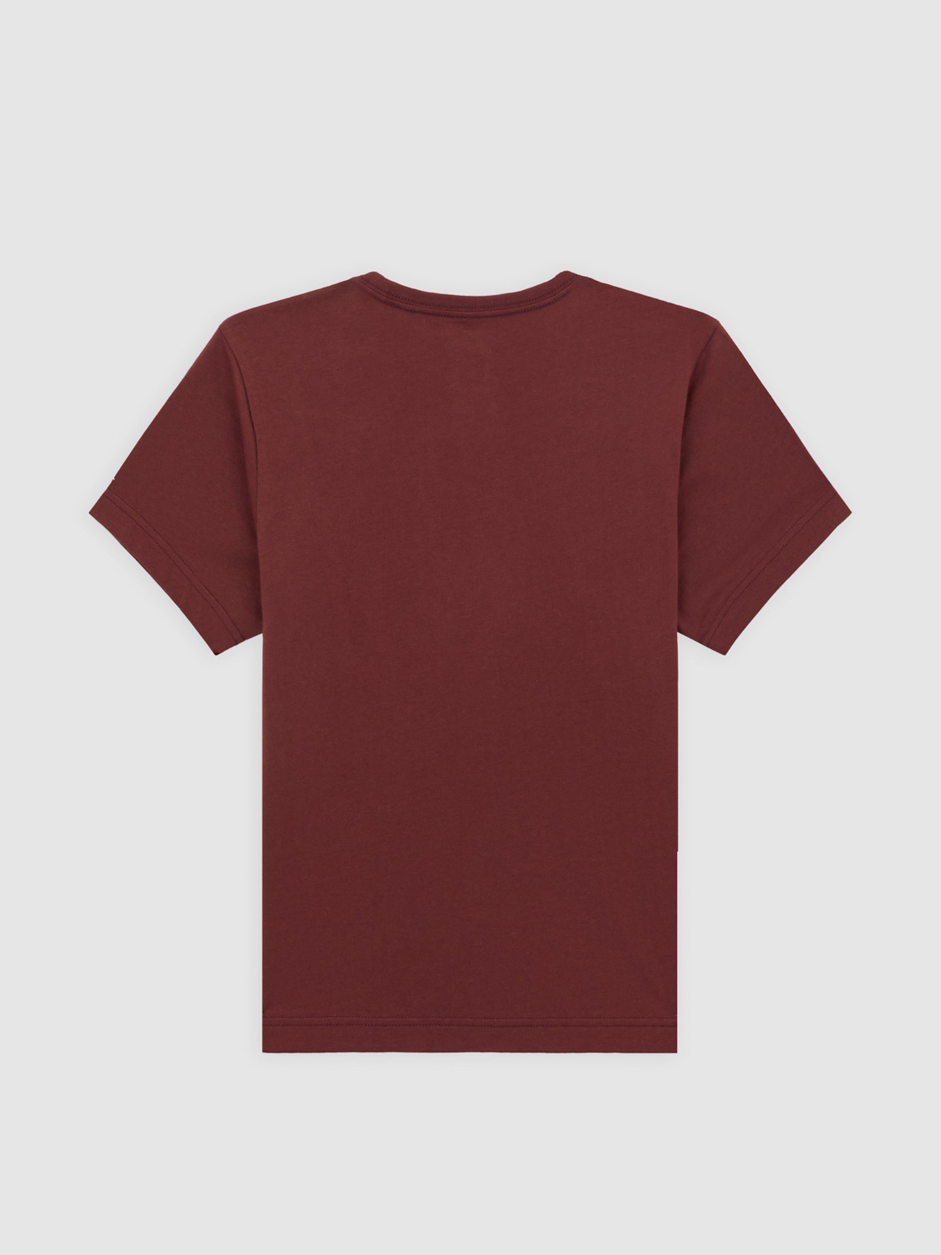 Футболка Dickies Youth Mapleton модель DK0KSR64L161 Фото