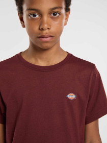 Футболка Dickies Youth Mapleton модель DK0KSR64L161 Фото