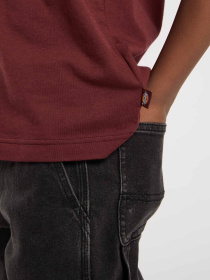 Футболка Dickies Youth Mapleton модель DK0KSR64L161 Фото