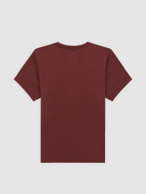 Футболка Dickies Youth Mapleton модель DK0KSR64L161 Фото