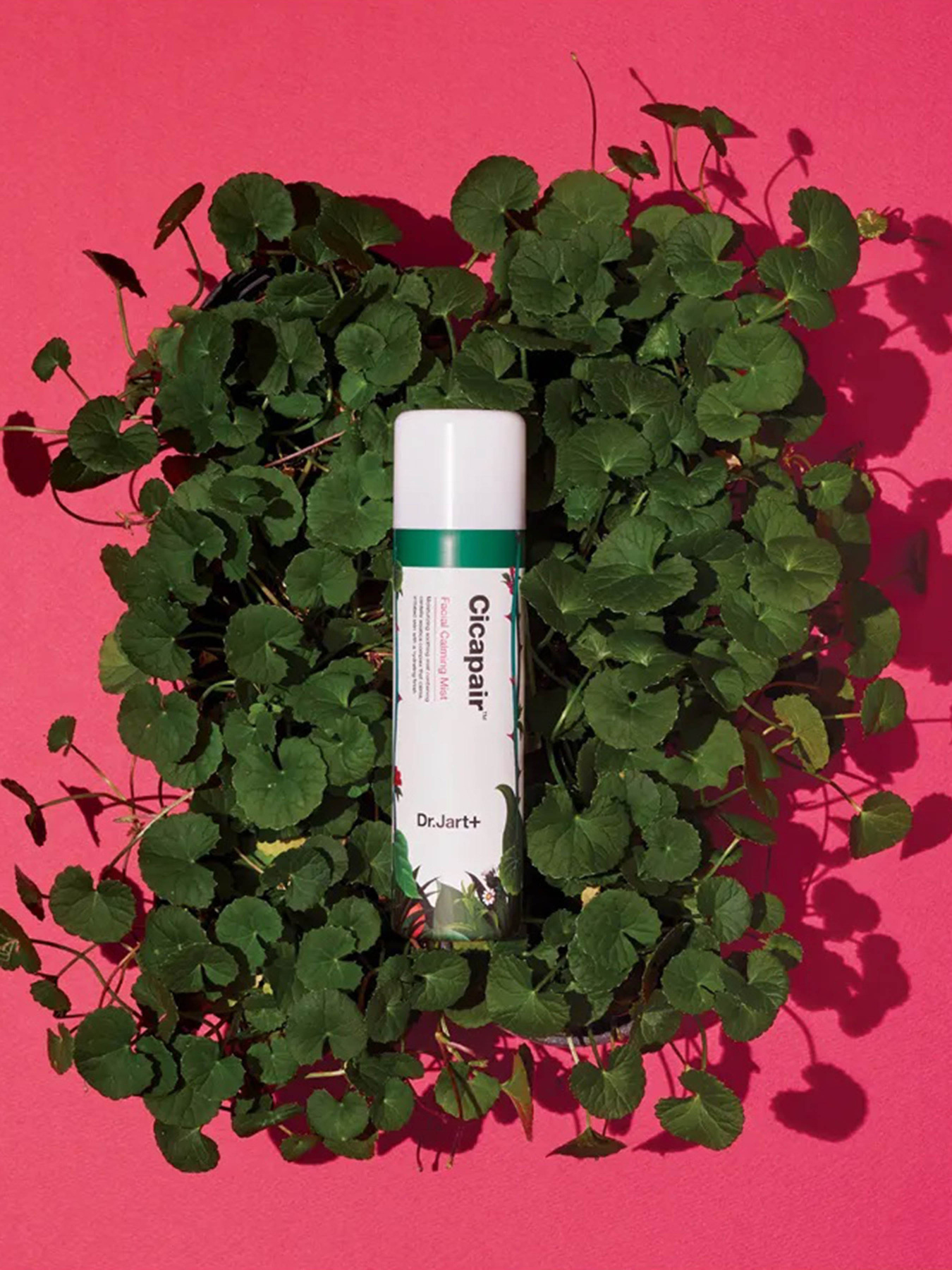 Мист успокаивающий Dr. Jart+ модель 8809535807069 Фото