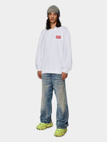 Свитшот Diesel модель A11591-0ILAC-100 Фото