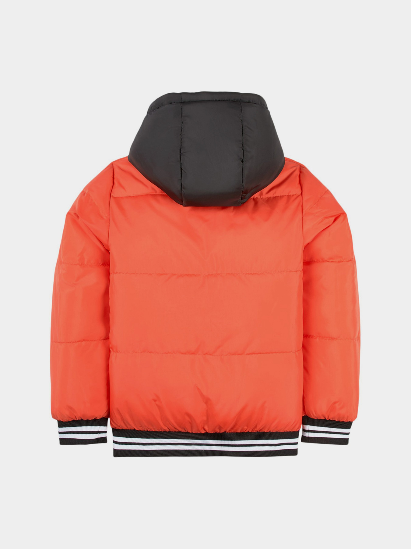 Зимова куртка DKNY модель D26343/873 Зимова куртка DKNY модель D26343/873 Фото