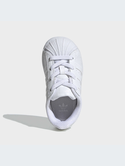 Кеди низькі adidas Superstar модель EF5397 — фото - INTERTOP