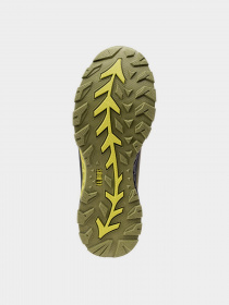 Кроссовки Elbrus модель ERGIDES WP-WOODBINE/CITRON/BLK Фото