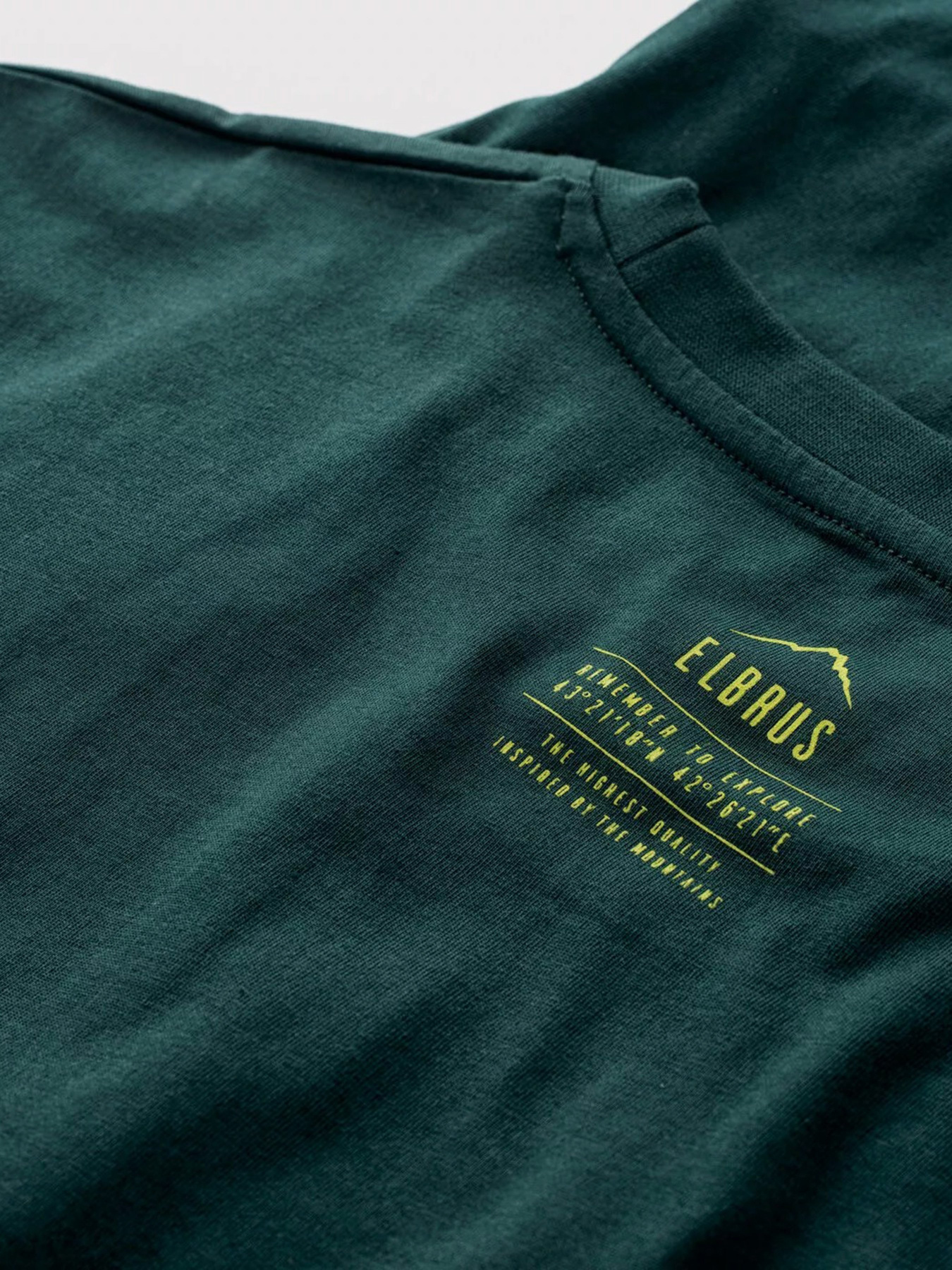 Футболки и поло Elbrus Rima III модель RIMA III-JUNE BUG Фото