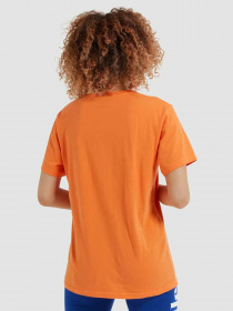 Футболка спортивная Ellesse Albany модель SGI03237-ORANGE Фото