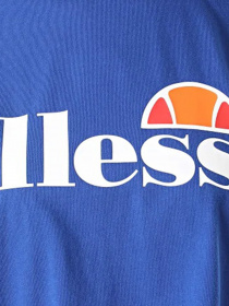 Футболка спортивна Ellesse Alberta Модель SGI04484-BLUE Фото