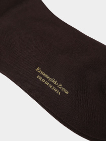 Носки ERMENEGILDO ZEGNA модель ZA0106 Фото